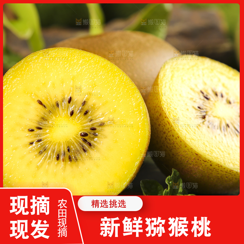 黑底上放着黄心奇异果