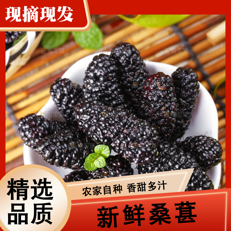 碟子里装着黑桑葚