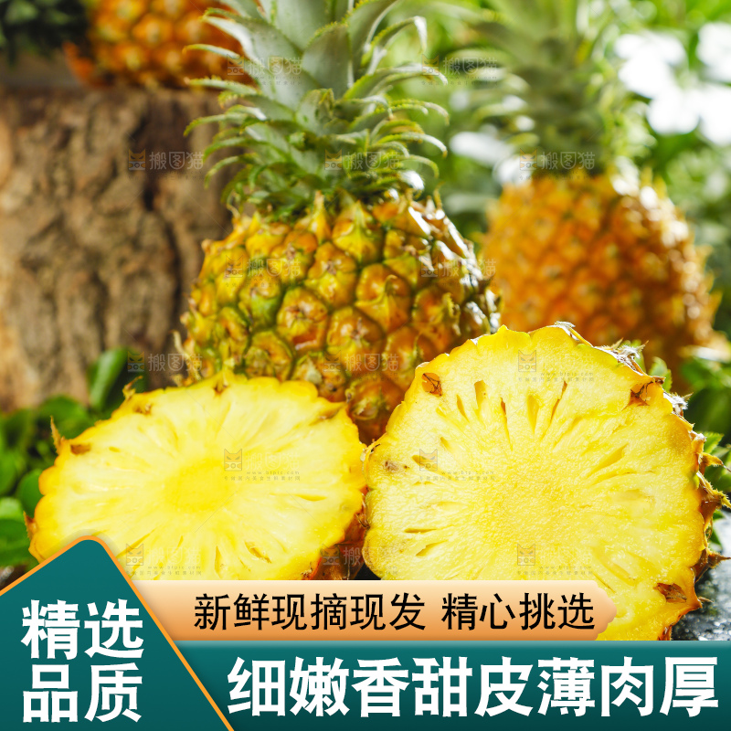 黑底上摆放着进口菠萝