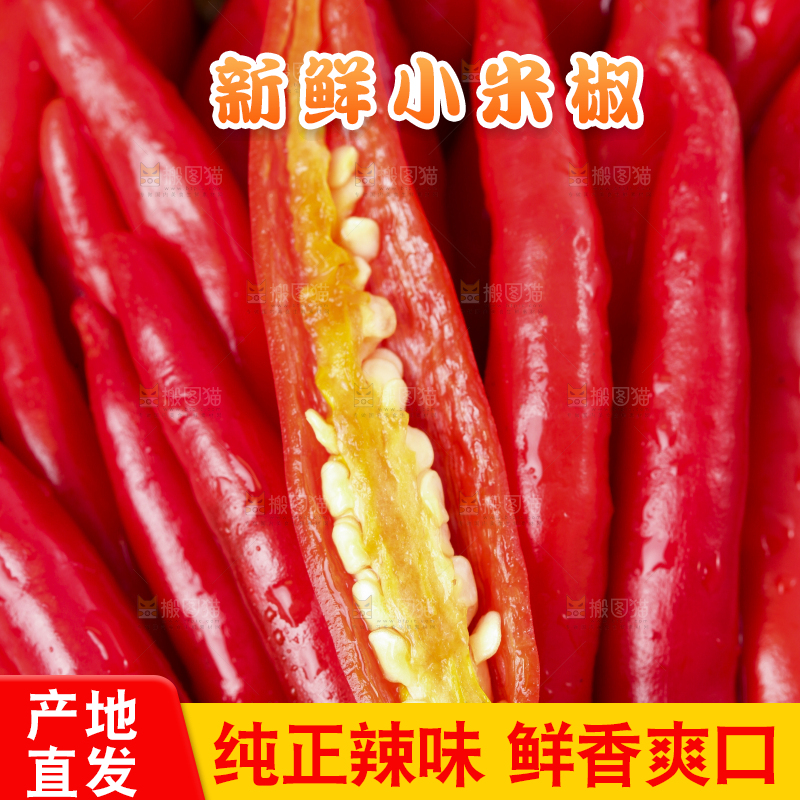 篮子里装着山东小米椒