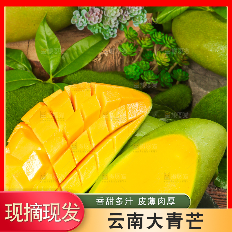 黑底上摆放着越南大青芒