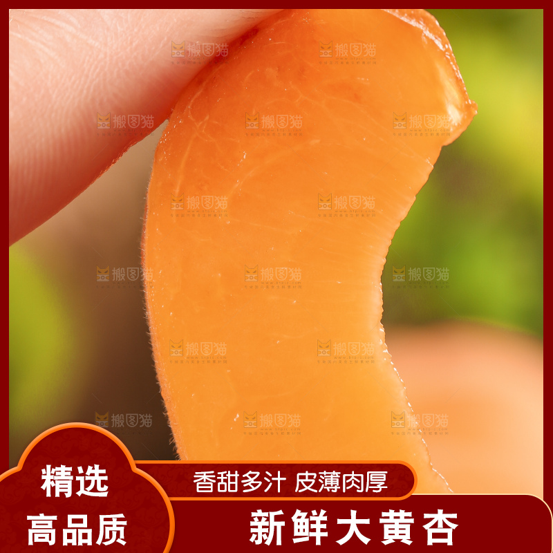手里拿着凯特杏