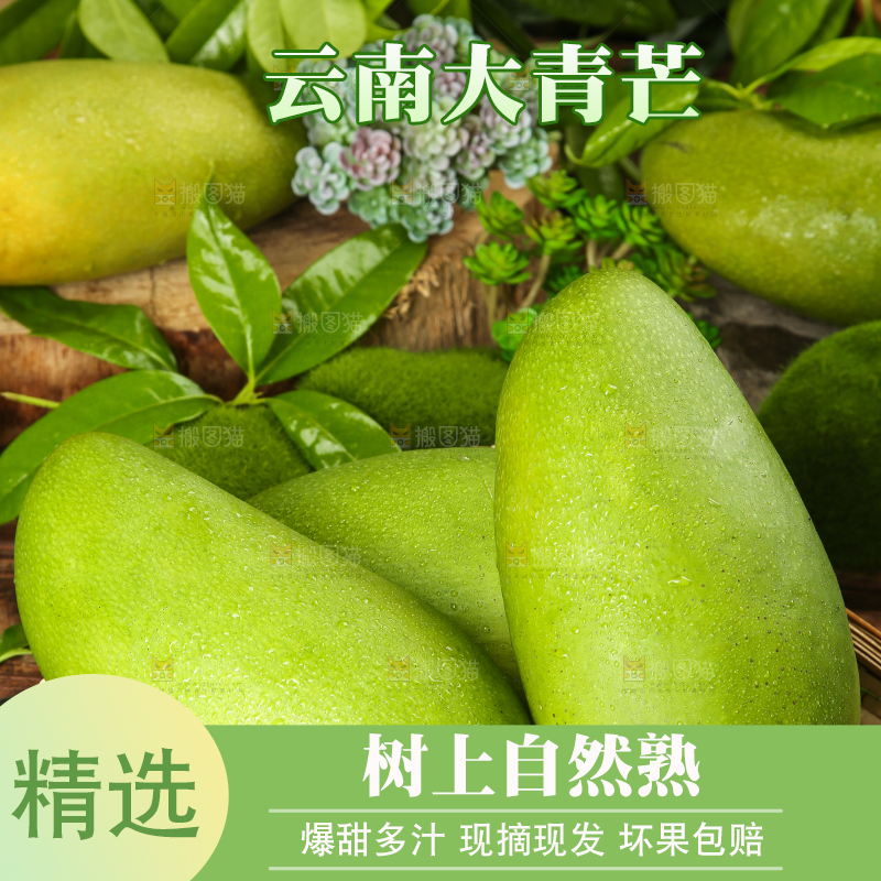 篮子里装着青芒