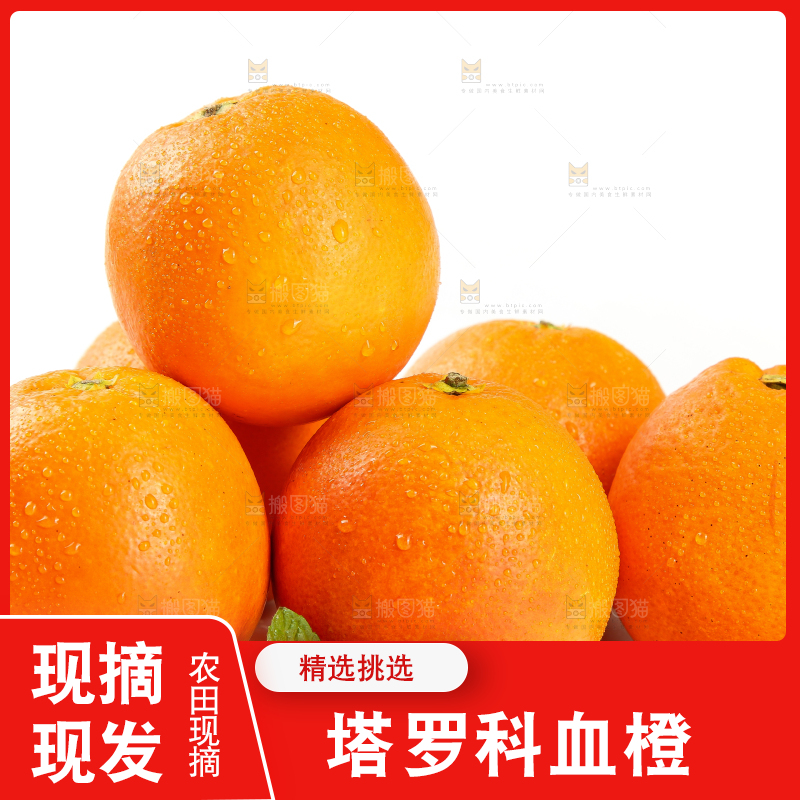 白底上放着玫瑰血橙