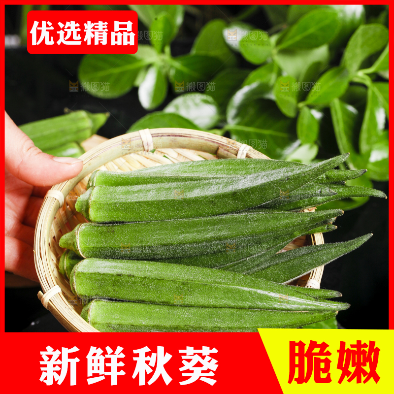 篮子里装着鲜嫩秋葵