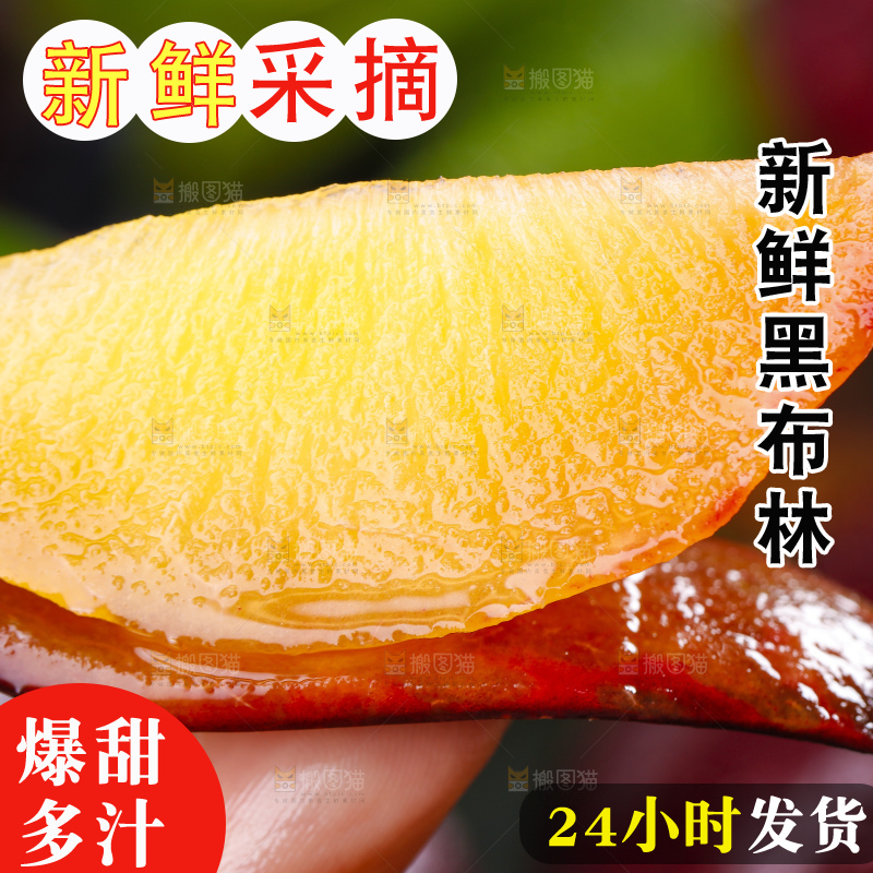 手里拿着黑布林
