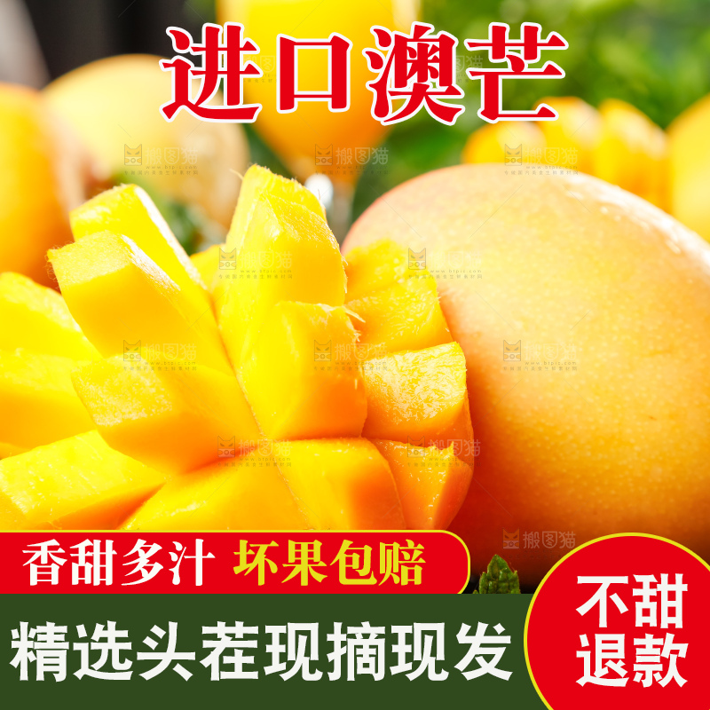 黑底上摆放着澳芒