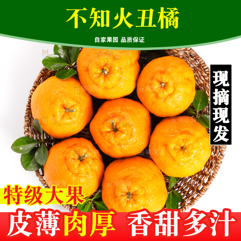 篮子里装着丑八怪橘子