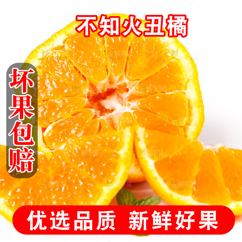 白底上摆放着柑橘