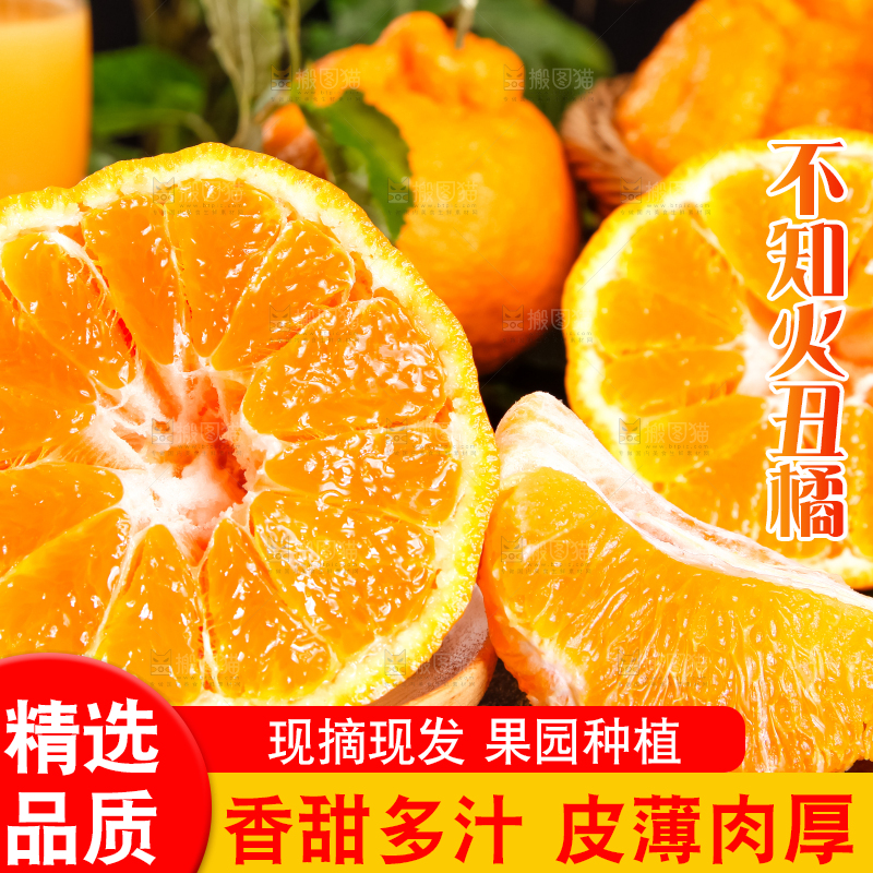 黑底上摆放着四川不知火丑橘