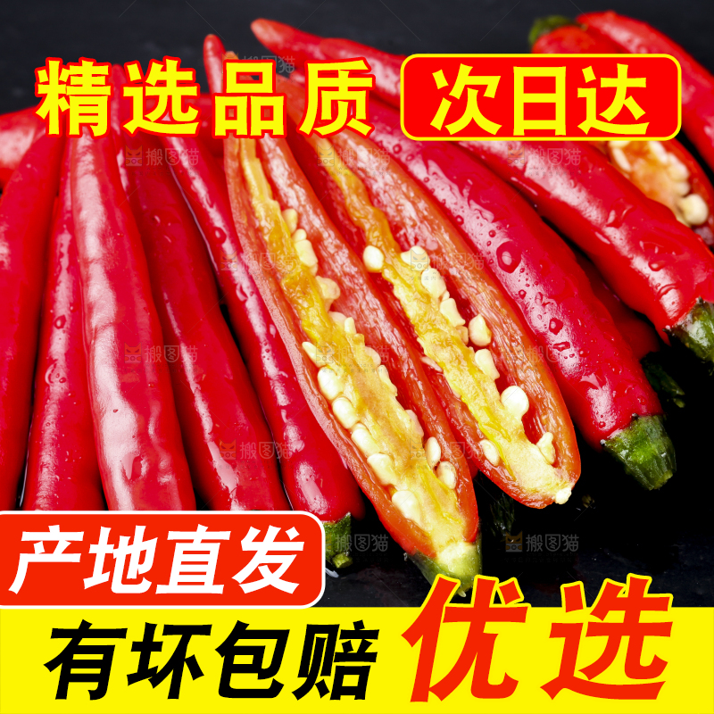 黑底上摆放着指天椒
