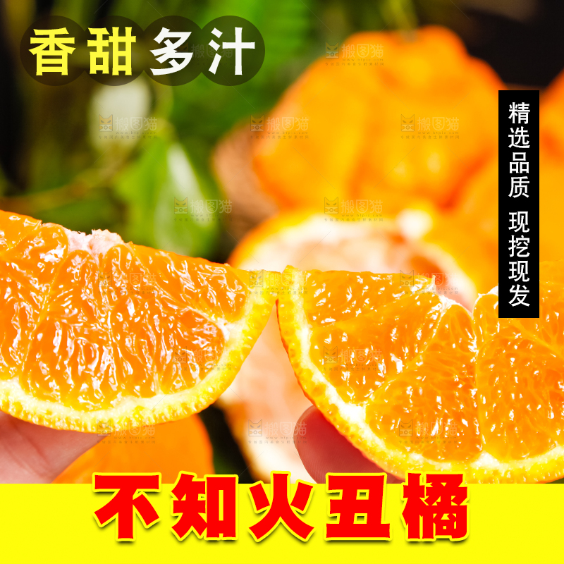 手里拿着柑橘