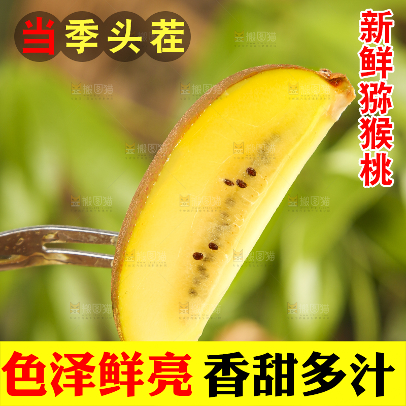叉子叉着一块黄心猕猴桃
