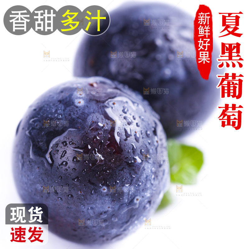 白底上放着夏黑加仑葡萄