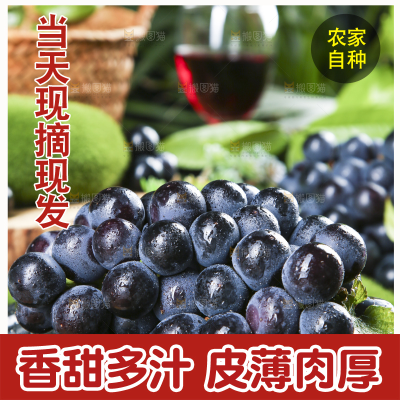 碟子里装着黑加仑