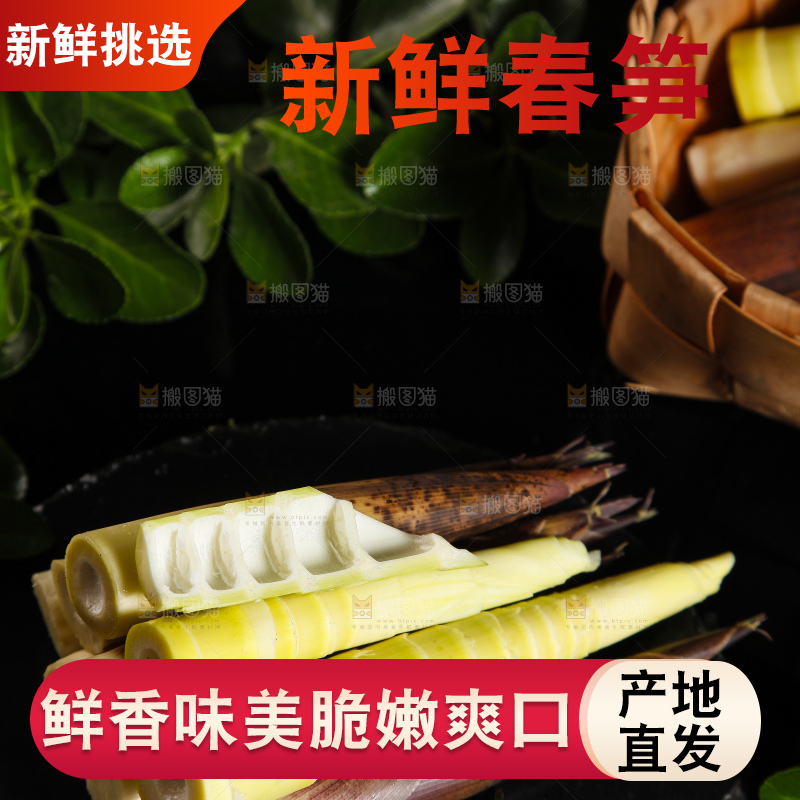 深底上摆放着雷竹笋