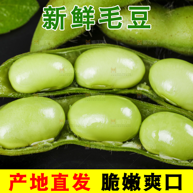 黑底上摆放着毛豆