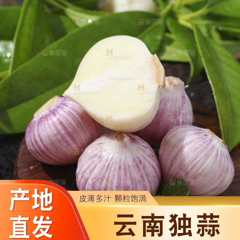 深底上摆放着云南独头蒜