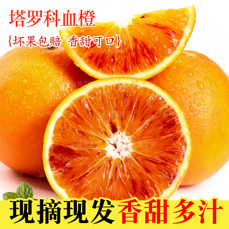 白底上的玫瑰血橙