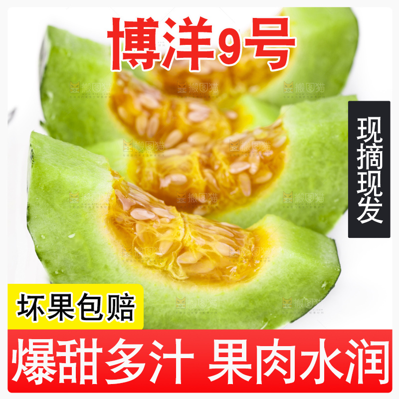 白底上放着博洋甜瓜