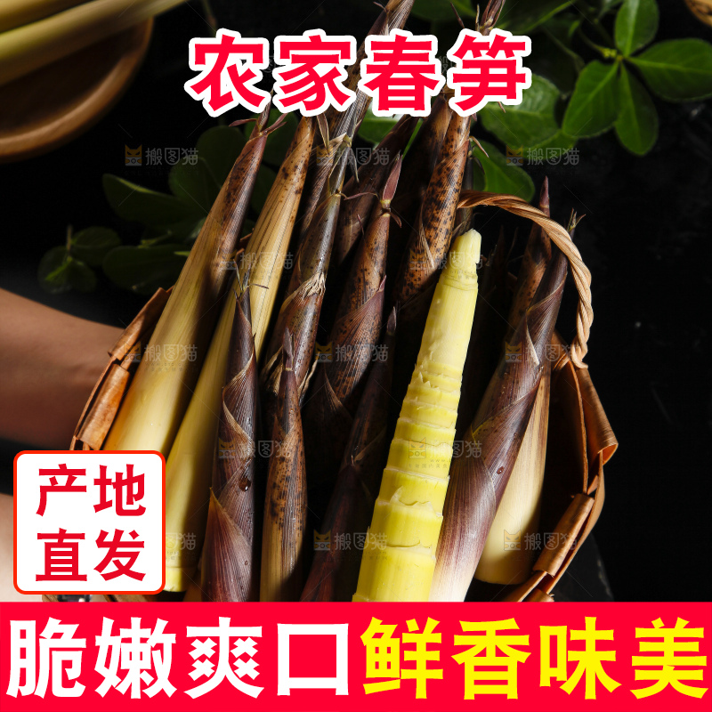 手里端着一篮春雷笋