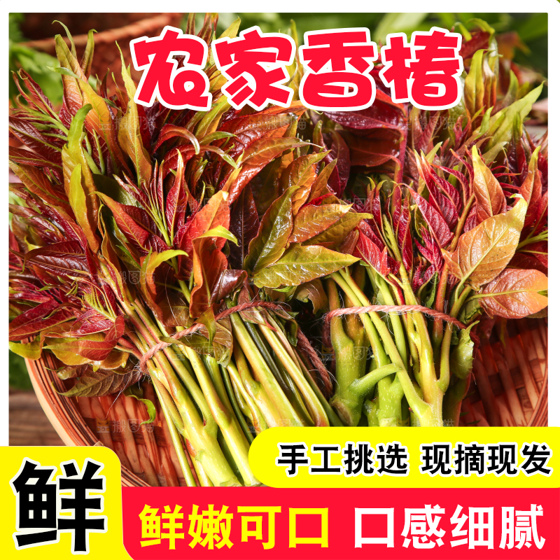手里拿着香椿芽