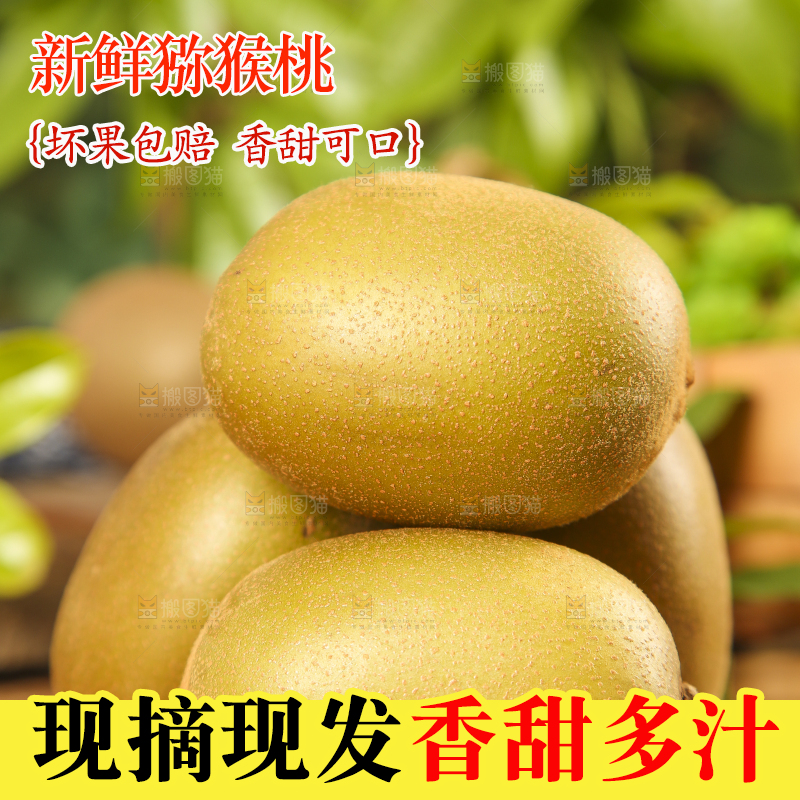 木底上摆放着蒲江黄心猕猴桃