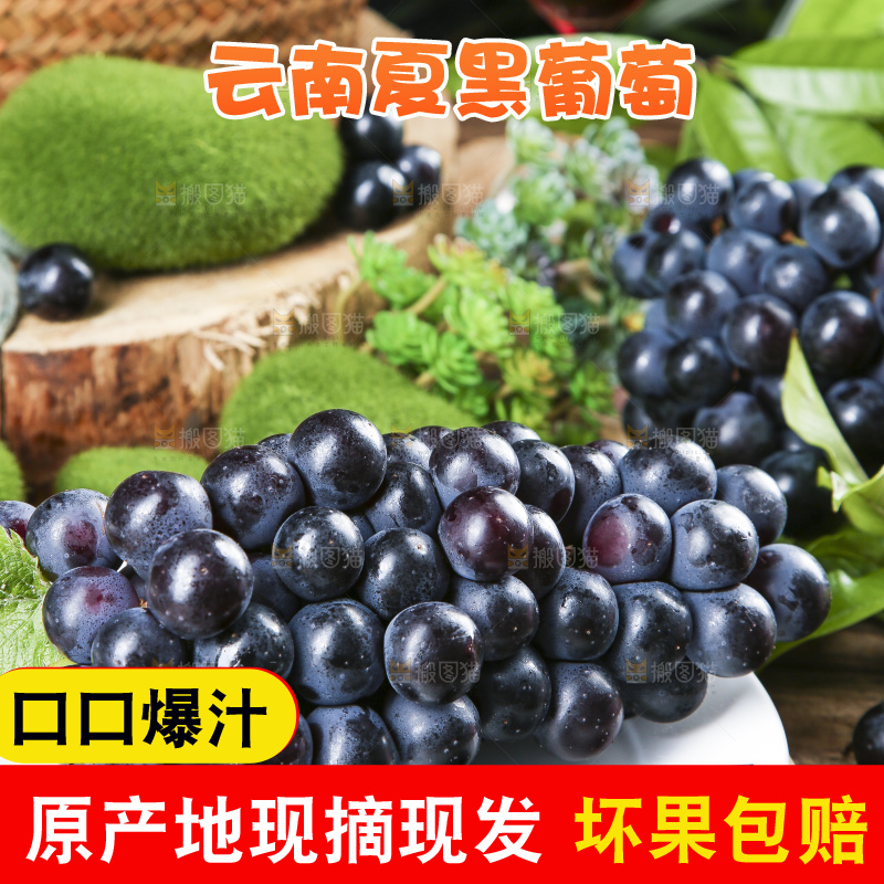 盘子里装着夏黑葡萄
