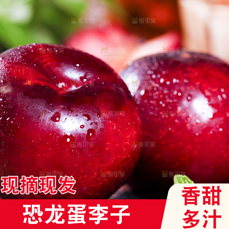 黑底上摆放着恐龙蛋李