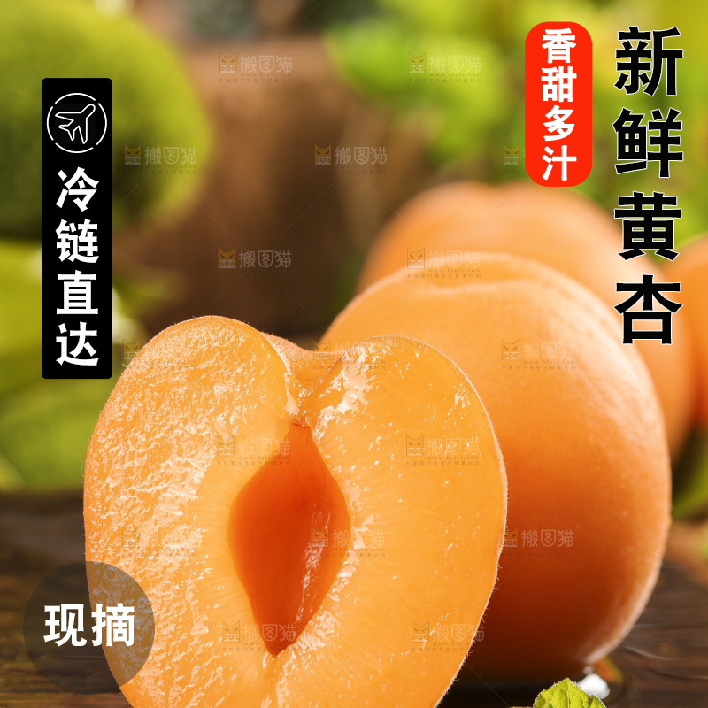 深底上摆放着烟台杏子