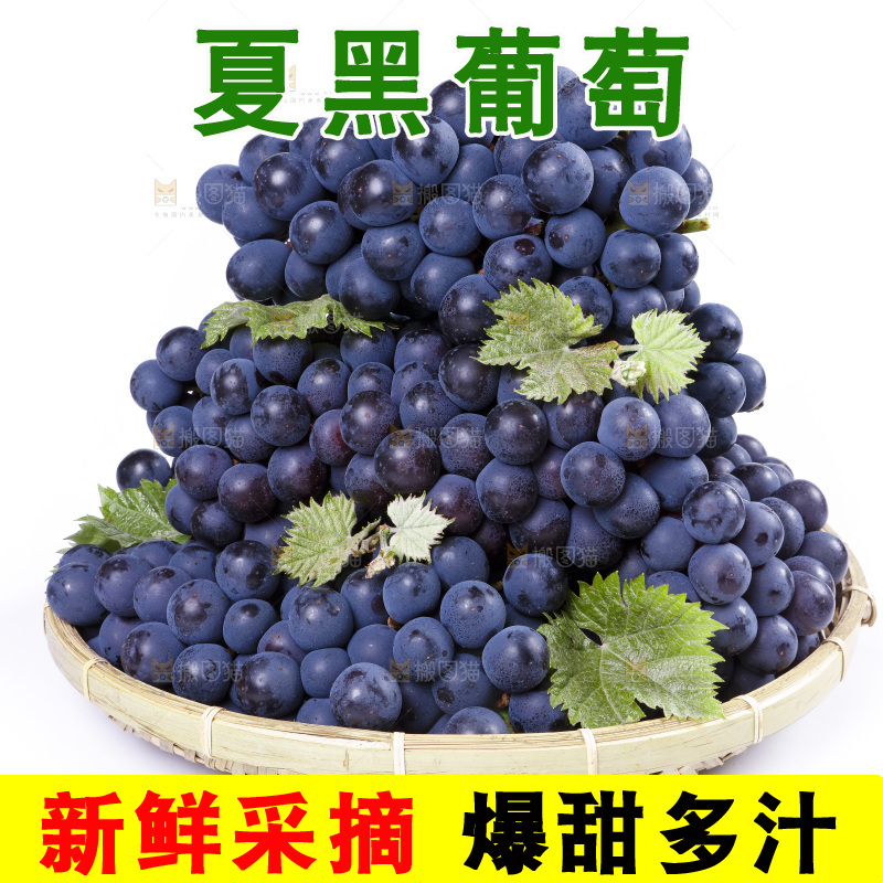 篮子里装着夏黑葡萄