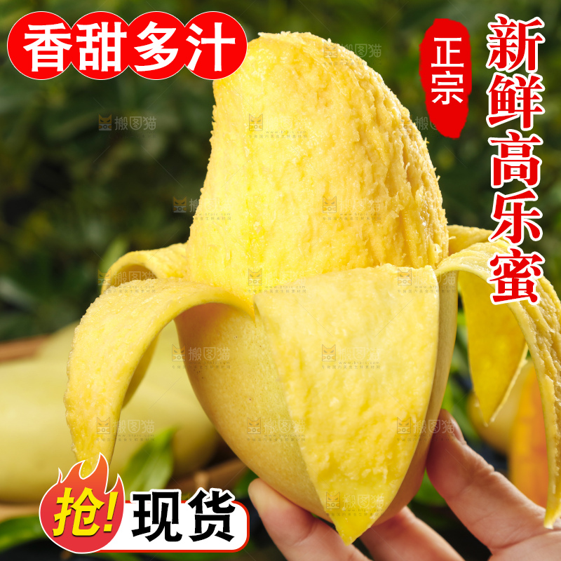 手里拿着金煌芒