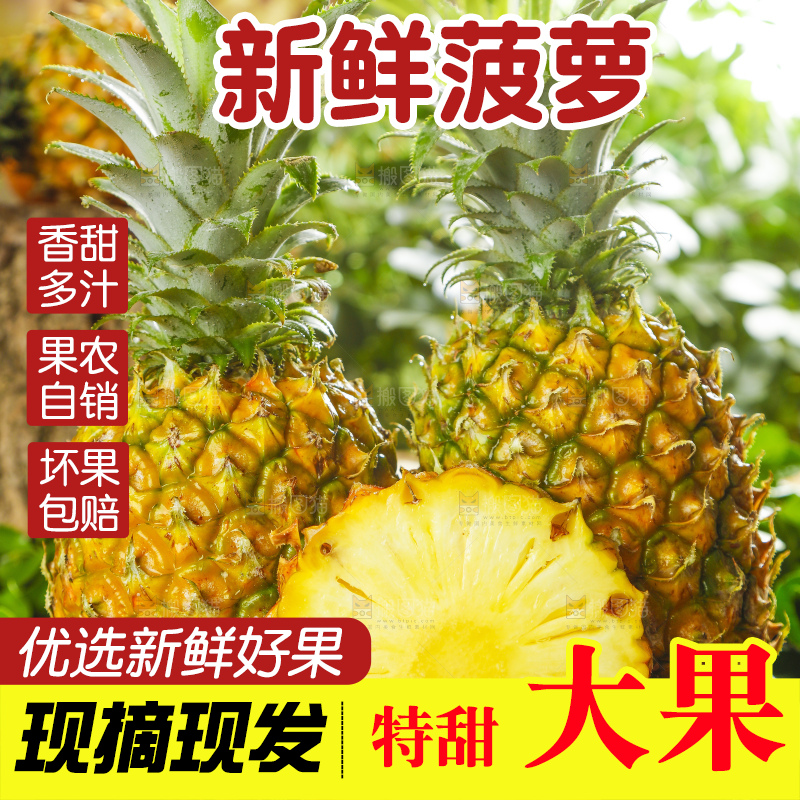 黑底上摆放着进口菠萝