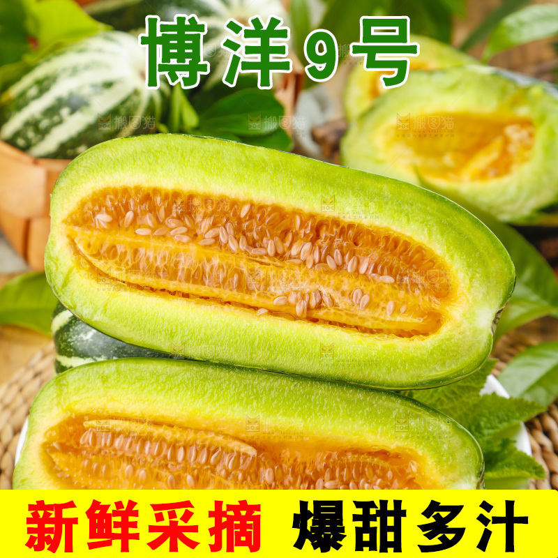 盘子里装着新鲜博洋9号甜瓜