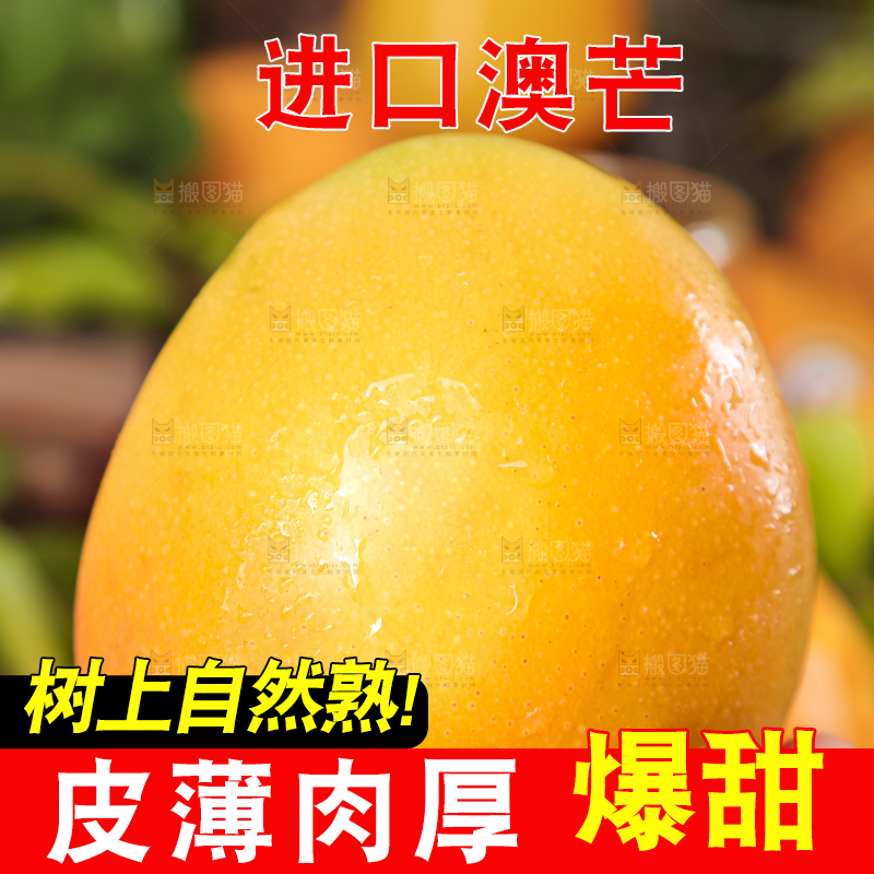 手里拿着澳芒