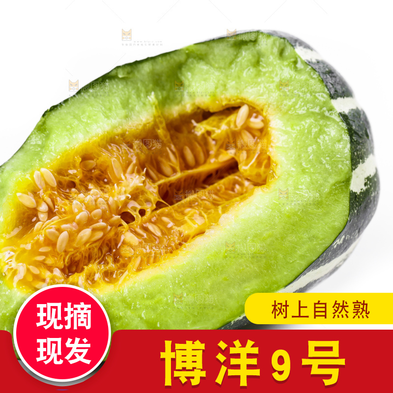 白底上摆放着博洋香瓜