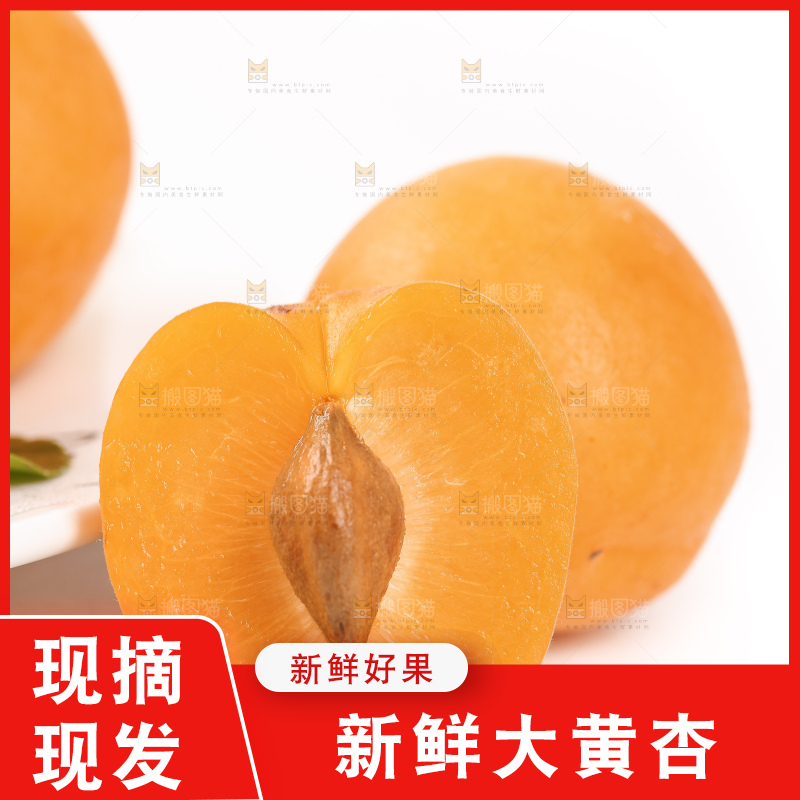 白底上放着黄金太阳杏