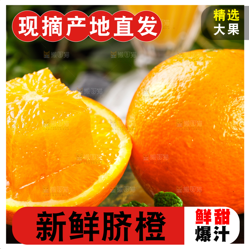 黑底上放着秭归脐橙