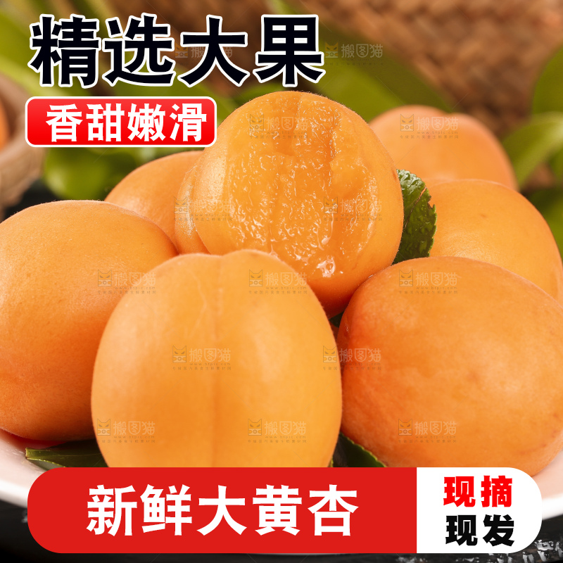 盘子里放着金太阳杏
