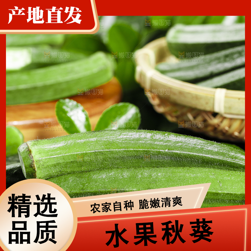 黑底上摆放着山东新鲜秋葵