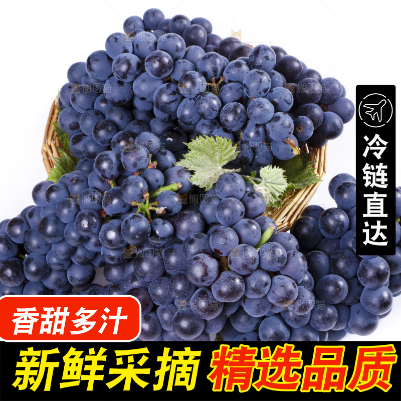 白底上放着云南夏黑葡萄