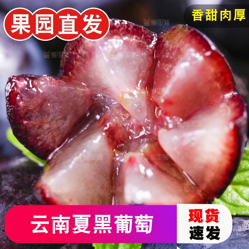 白底上放着云南夏黑葡萄