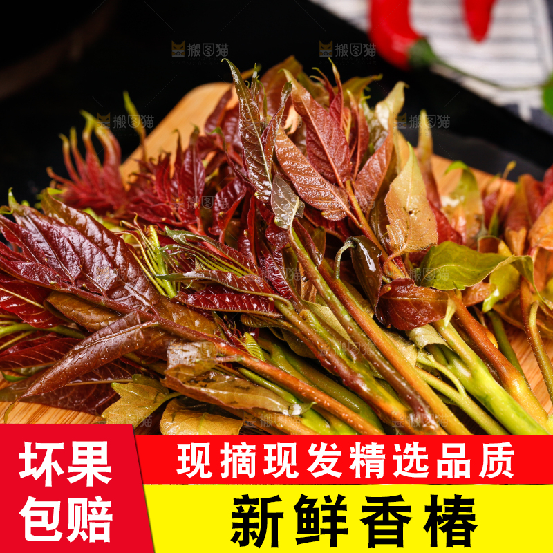 木板上放着香椿苗芽