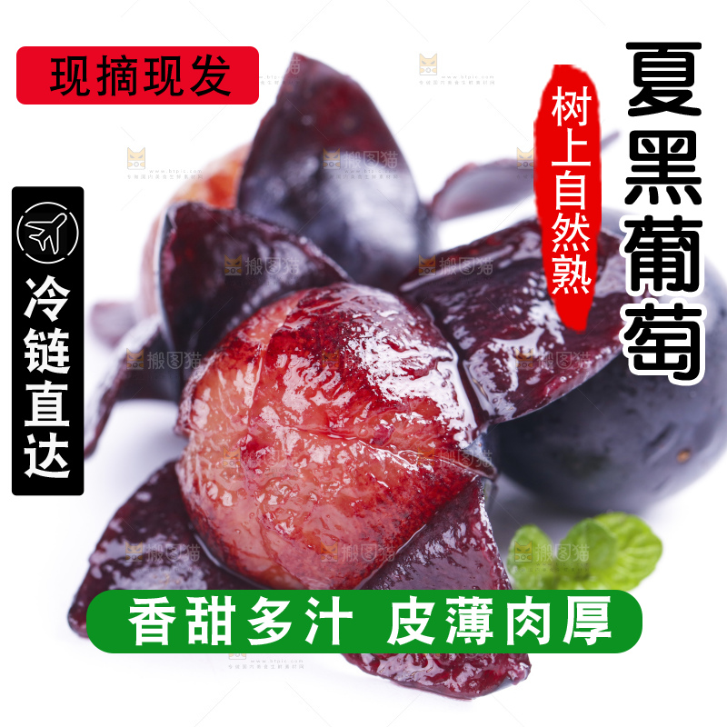 白底上摆放着夏黑葡萄