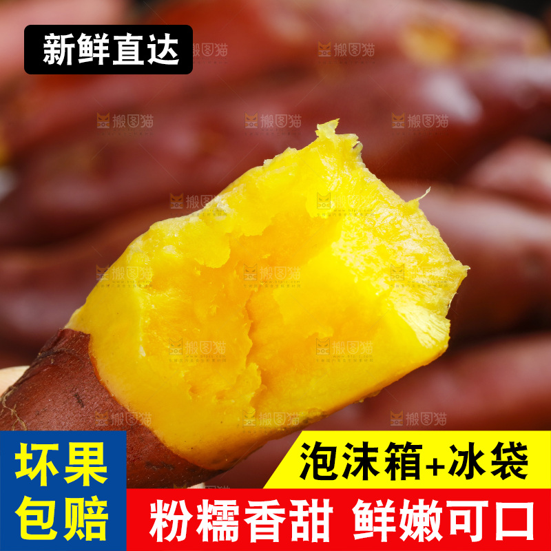 手里拿着天目山小香薯