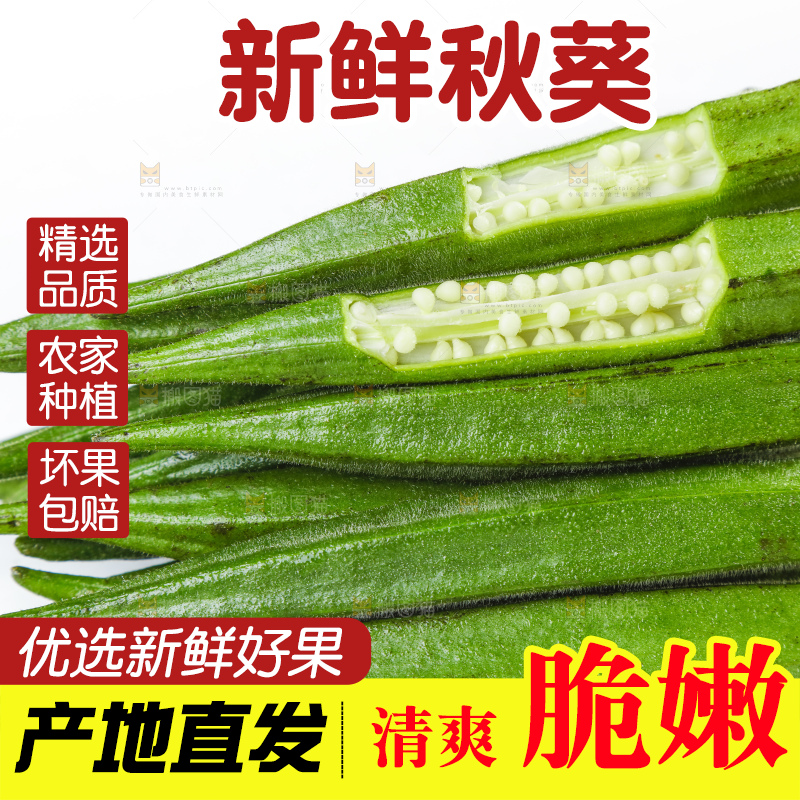 白底上摆放着秋葵