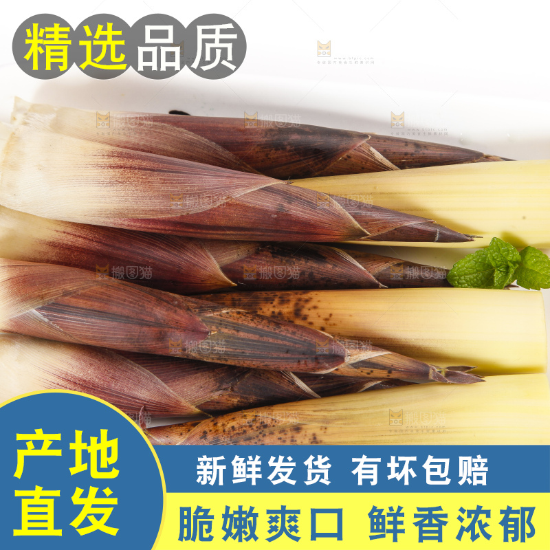 白底上摆放着春笋