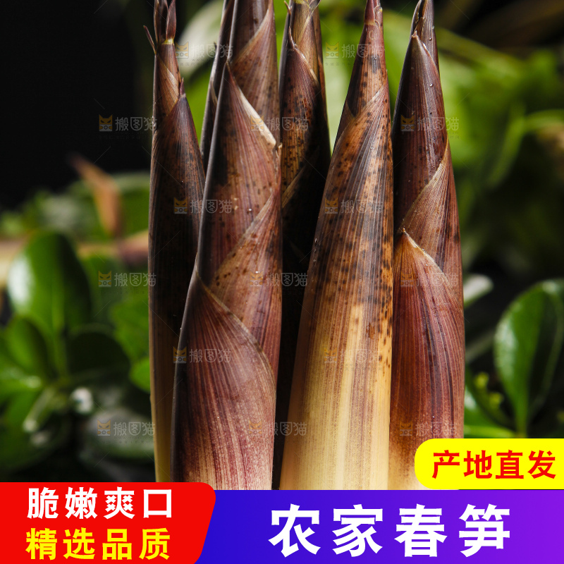 深底上摆放着雷竹笋