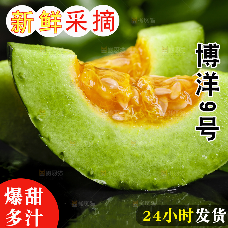 黑底上放着新鲜博洋9号甜瓜