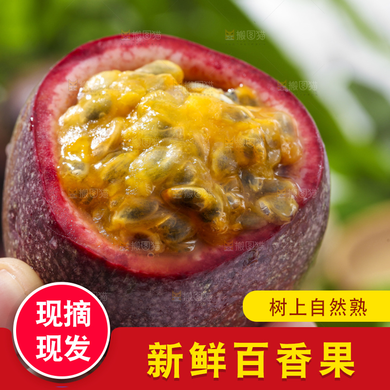 手里拿着紫皮百香果